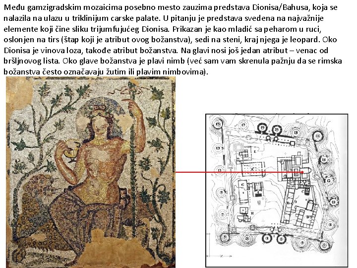 Među gamzigradskim mozaicima posebno mesto zauzima predstava Dionisa/Bahusa, koja se nalazila na ulazu u