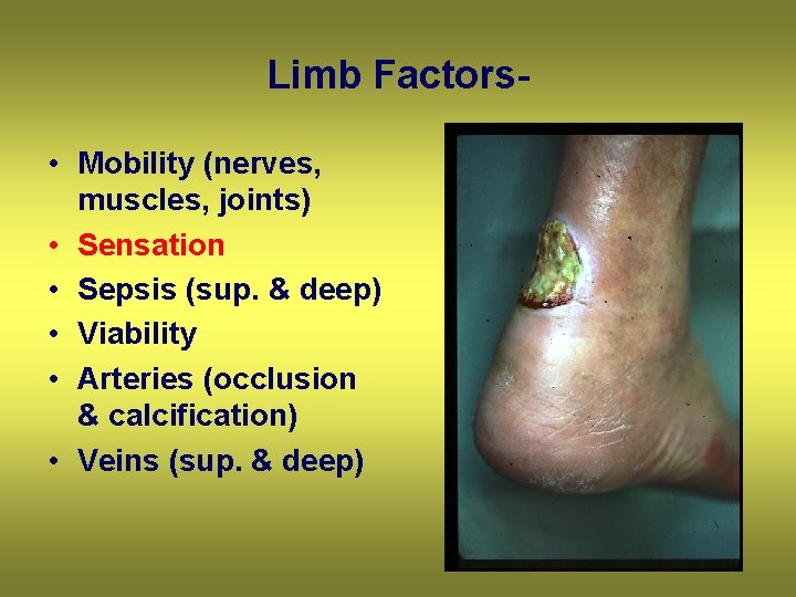 Limb Factors • Mobility (nerves, muscles, joints) • Sensation • Sepsis (sup. & deep)