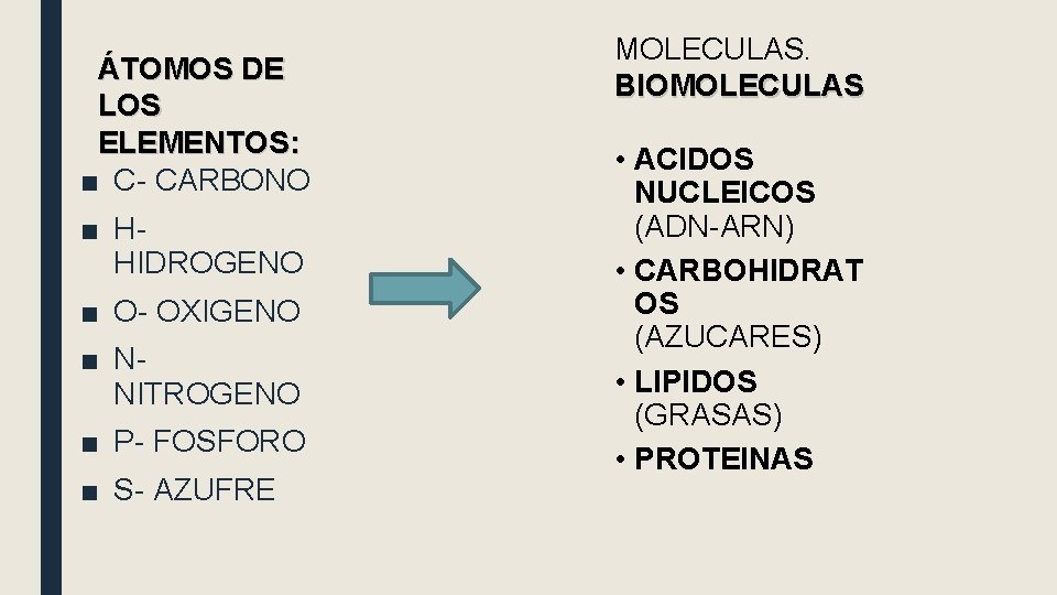 ÁTOMOS DE LOS ELEMENTOS: ■ C- CARBONO ■ HHIDROGENO ■ O- OXIGENO ■ NNITROGENO