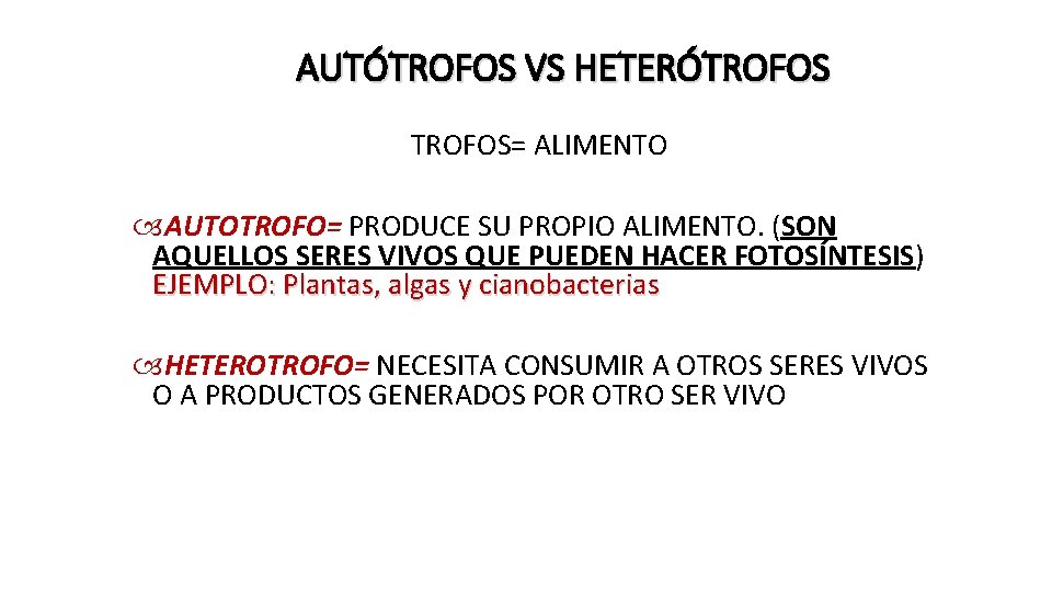 AUTÓTROFOS VS HETERÓTROFOS= ALIMENTO AUTOTROFO= PRODUCE SU PROPIO ALIMENTO. (SON AQUELLOS SERES VIVOS QUE