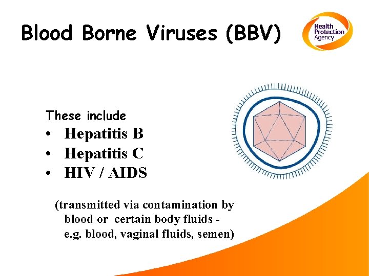 Blood Borne Viruses (BBV) These include • Hepatitis B • Hepatitis C • HIV