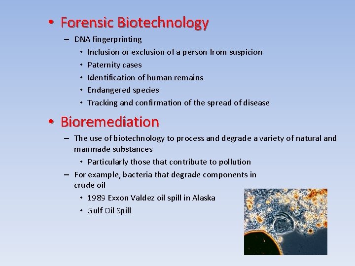  • Forensic Biotechnology – DNA fingerprinting • Inclusion or exclusion of a person