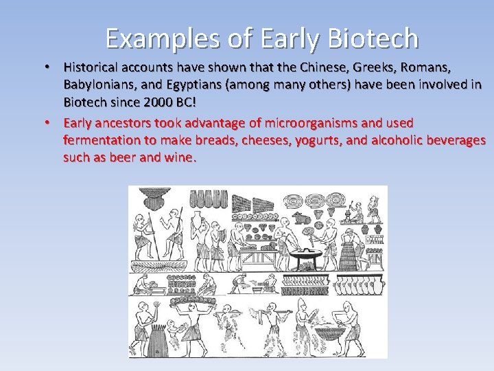 Examples of Early Biotech • Historical accounts have shown that the Chinese, Greeks, Romans,