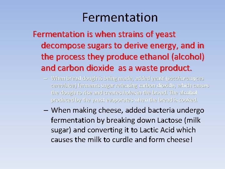 Fermentation is when strains of yeast decompose sugars to derive energy, and in the