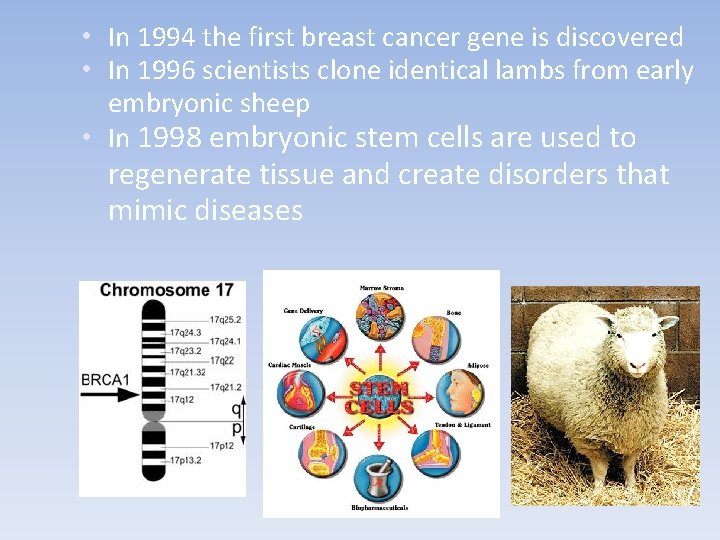  • In 1994 the first breast cancer gene is discovered • In 1996