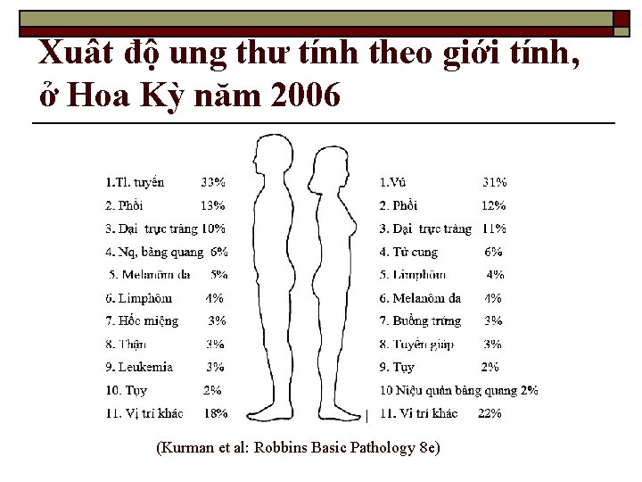 Xuất độ ung thư tính theo giới tính, ở Hoa Kỳ năm 2006 (Kurman