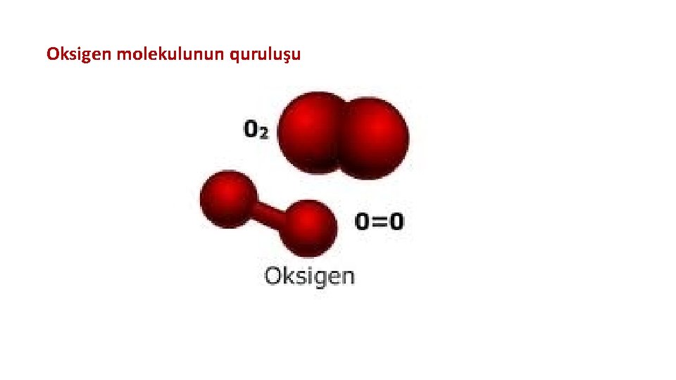 Oksigen molekulunun quruluşu 