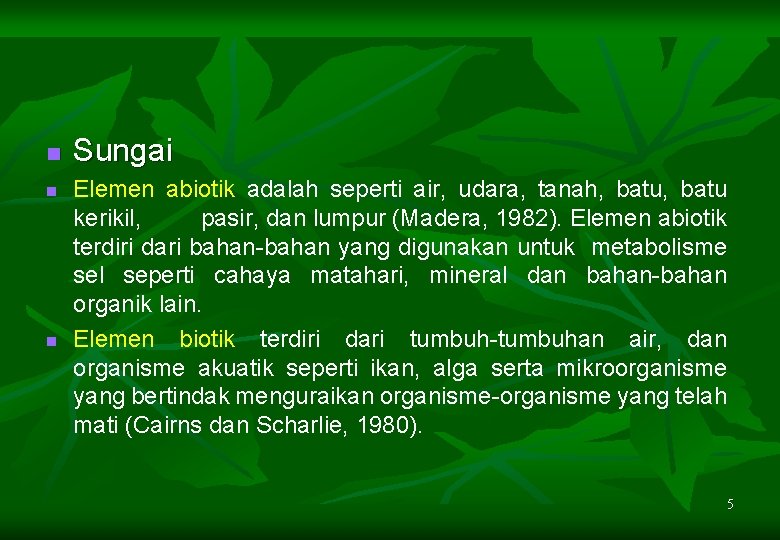 n n n Sungai Elemen abiotik adalah seperti air, udara, tanah, batu kerikil, pasir,