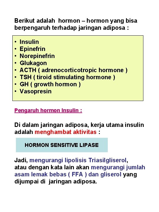 Berikut adalah hormon – hormon yang bisa berpengaruh terhadap jaringan adiposa : • •