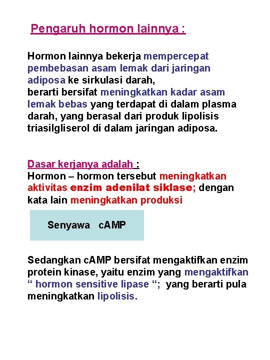 Pengaruh hormon lainnya : Hormon lainnya bekerja mempercepat pembebasan asam lemak dari jaringan adiposa