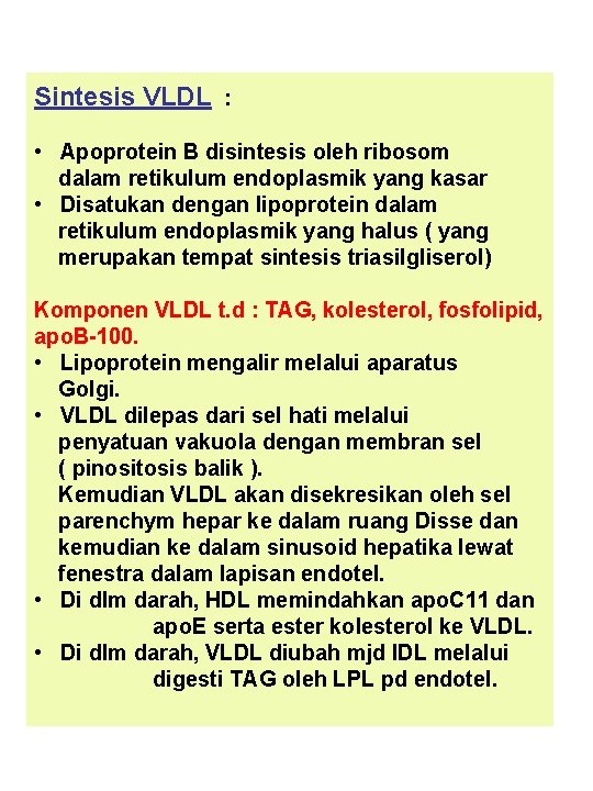 Sintesis VLDL : • Apoprotein B disintesis oleh ribosom dalam retikulum endoplasmik yang kasar