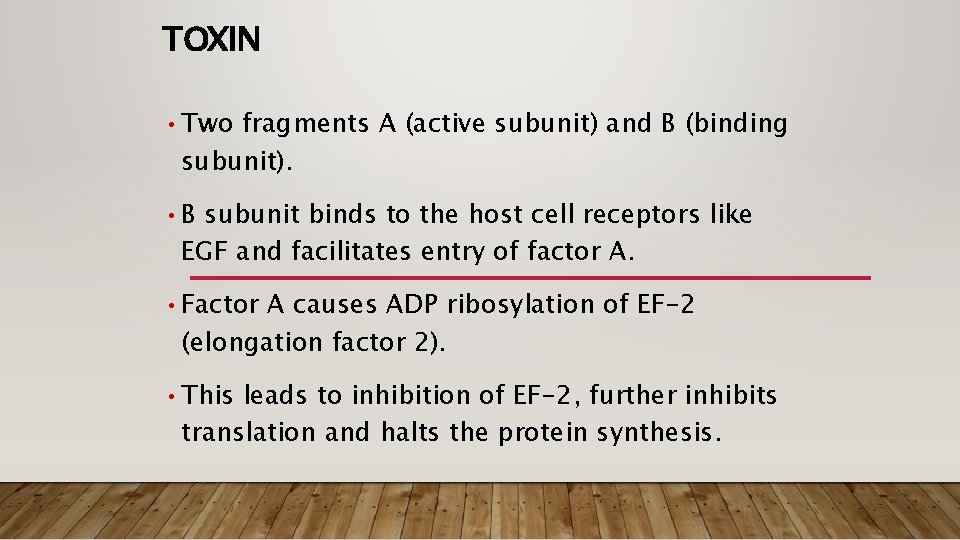 TOXIN • Two fragments A (active subunit) and B (binding subunit). • B subunit