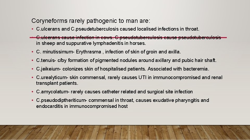 Coryneforms rarely pathogenic to man are: • C. ulcerans and C. pseudetuberculosis caused localised