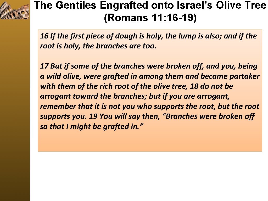 The Gentiles Engrafted onto Israel’s Olive Tree (Romans 11: 16 -19) 16 If the