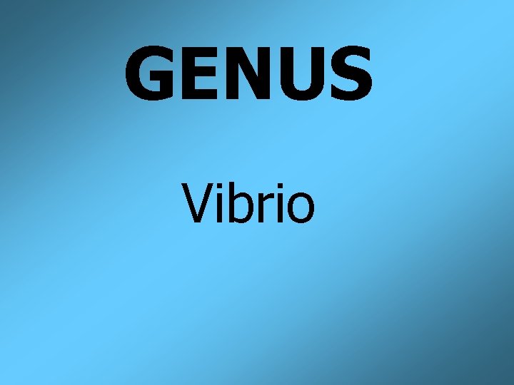 GENUS Vibrio 