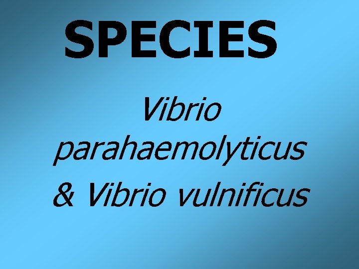 SPECIES Vibrio parahaemolyticus & Vibrio vulnificus 
