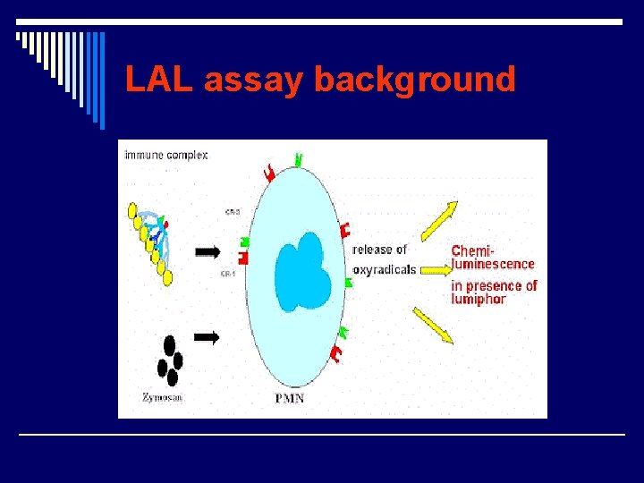 LAL assay background 