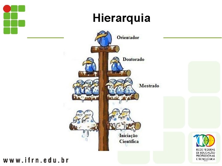 Hierarquia 
