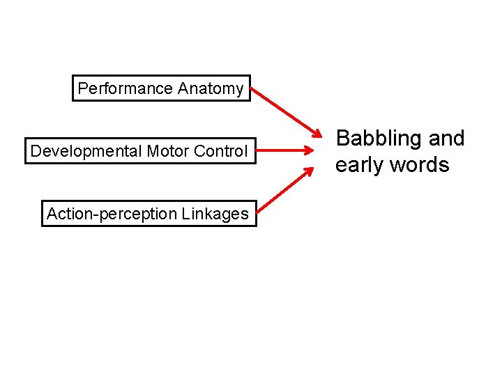 Performance Anatomy Developmental Motor Control Action-perception Linkages Babbling and early words 