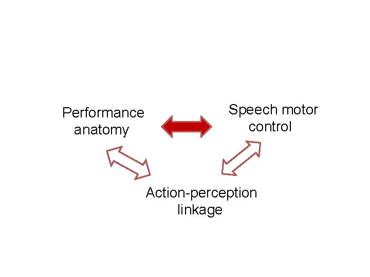 Performance anatomy Speech motor control Action-perception linkage 