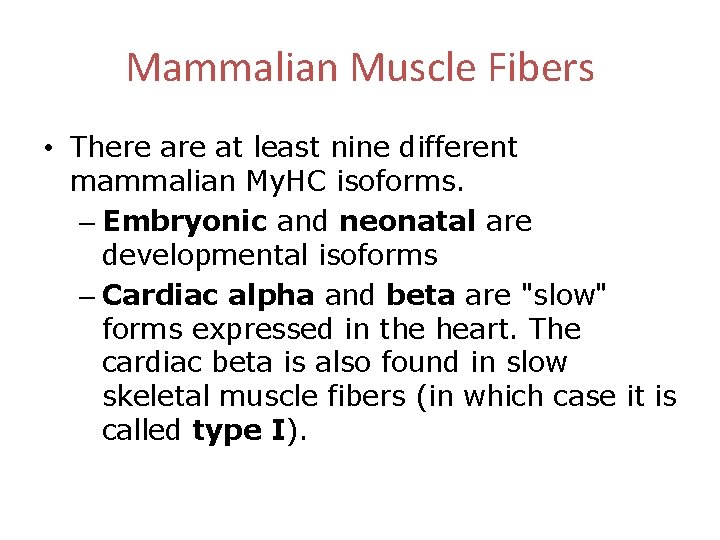 Mammalian Muscle Fibers • There at least nine different mammalian My. HC isoforms. –