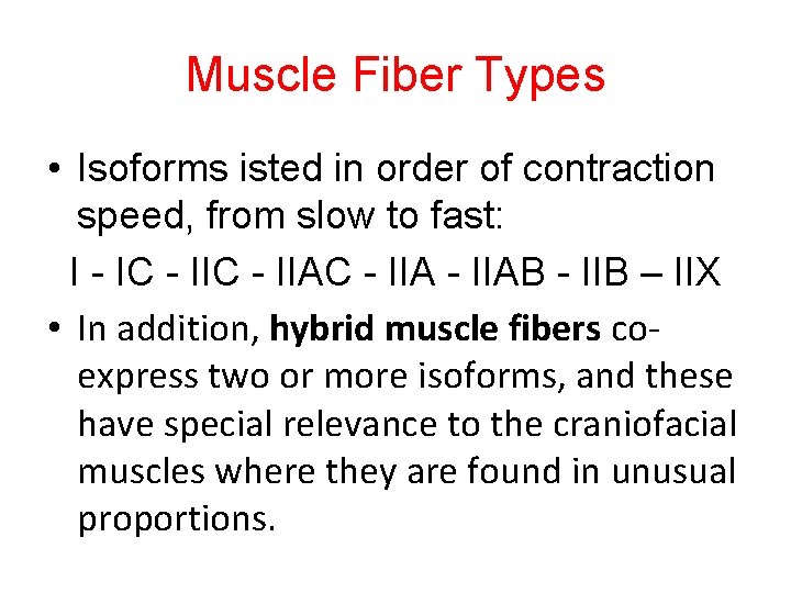 Muscle Fiber Types • Isoforms isted in order of contraction speed, from slow to