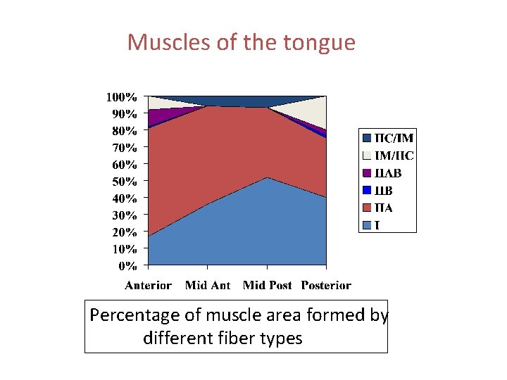 Muscles of the tongue Percentage of muscle area formed by different fiber types 