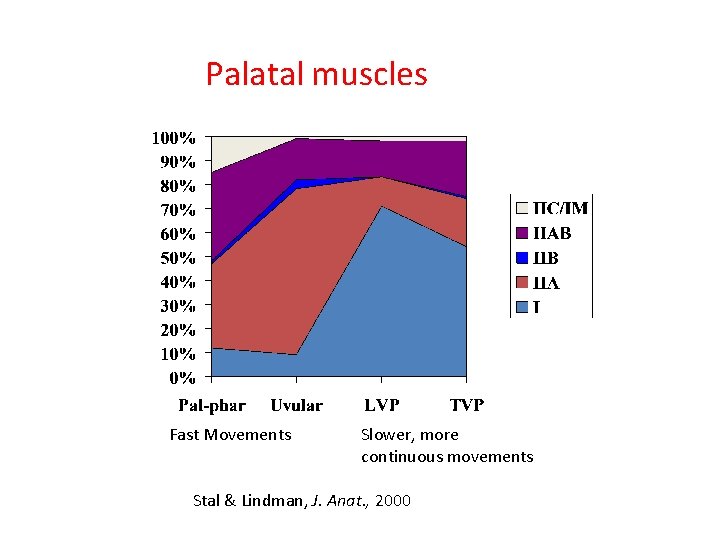 Palatal muscles Fast Movements Slower, more continuous movements Stal & Lindman, J. Anat. ,