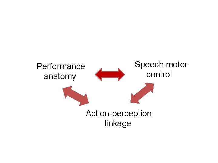 Performance anatomy Speech motor control Action-perception linkage 