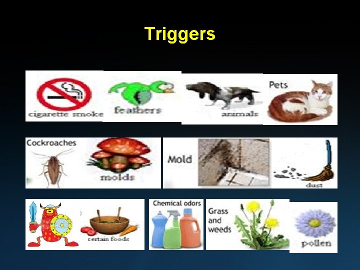 Triggers 