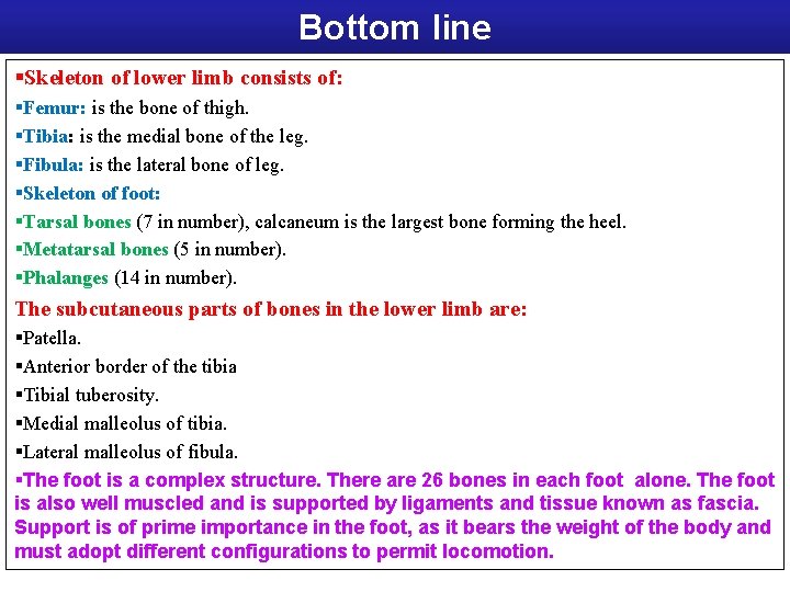 Bottom line §Skeleton of lower limb consists of: §Femur: is the bone of thigh.