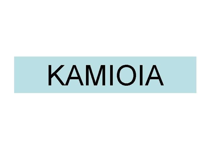 KAMIOIA 