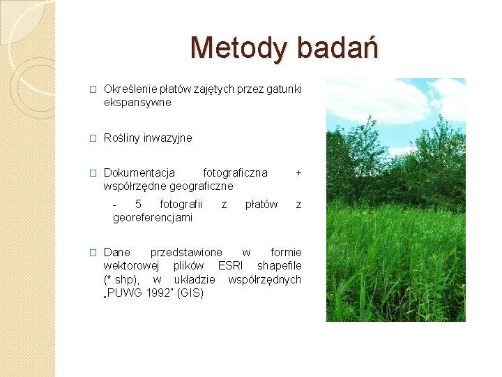 Metody badań � Określenie płatów zajętych przez gatunki ekspansywne � Rośliny inwazyjne � Dokumentacja