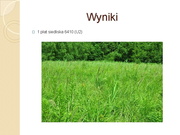 Wyniki � 1 płat siedliska 6410 (U 2) 