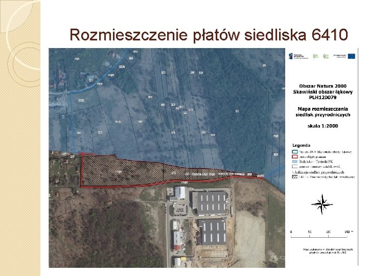 Rozmieszczenie płatów siedliska 6410 