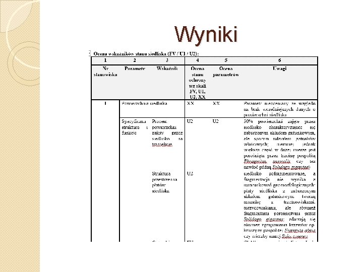 Wyniki 