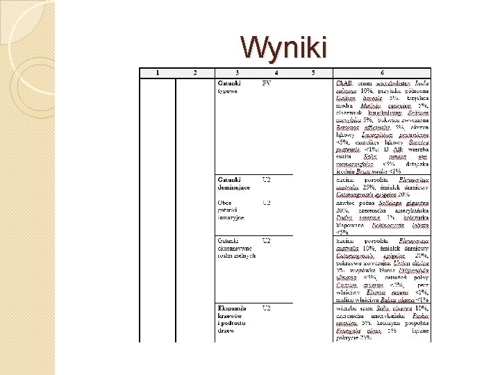 Wyniki 