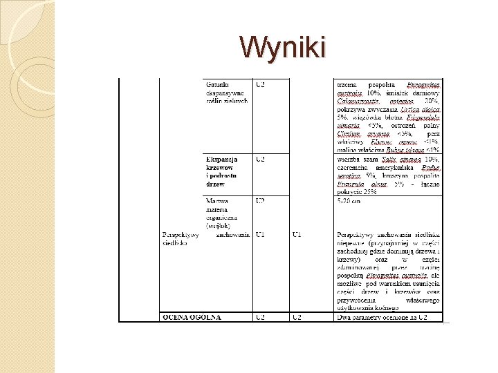 Wyniki 