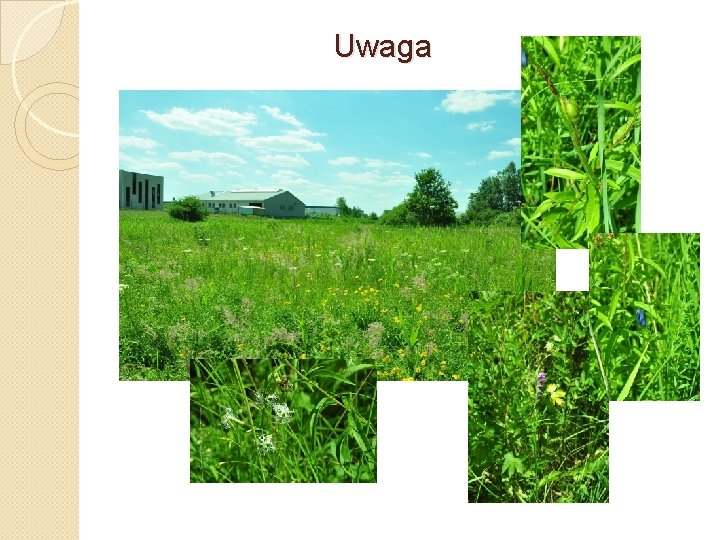 Uwaga 