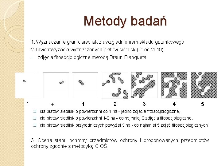 Metody badań 1. Wyznaczanie granic siedlisk z uwzględnieniem składu gatunkowego 2. Inwentaryzacja wyznaczonych płatów