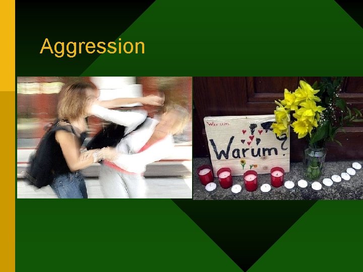 Aggression 