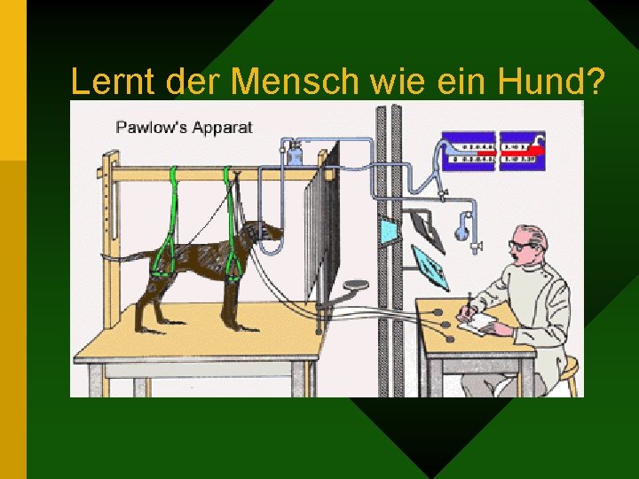 Lernt der Mensch wie ein Hund? 