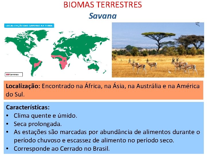 BIOMAS TERRESTRES Savana Localização: Encontrado na África, na Ásia, na Austrália e na América