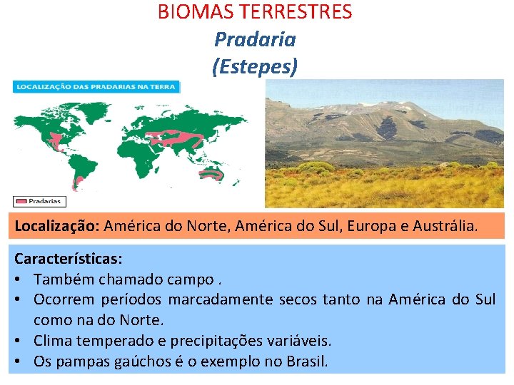 BIOMAS TERRESTRES Pradaria (Estepes) Localização: América do Norte, América do Sul, Europa e Austrália.