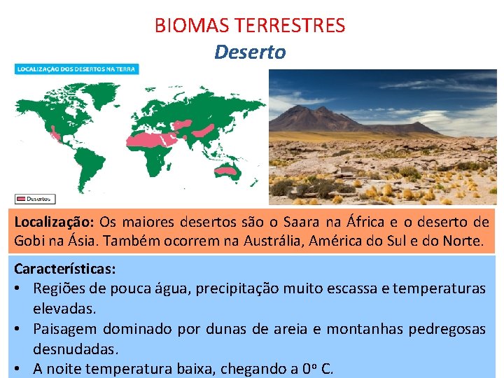 BIOMAS TERRESTRES Deserto Localização: Os maiores desertos são o Saara na África e o