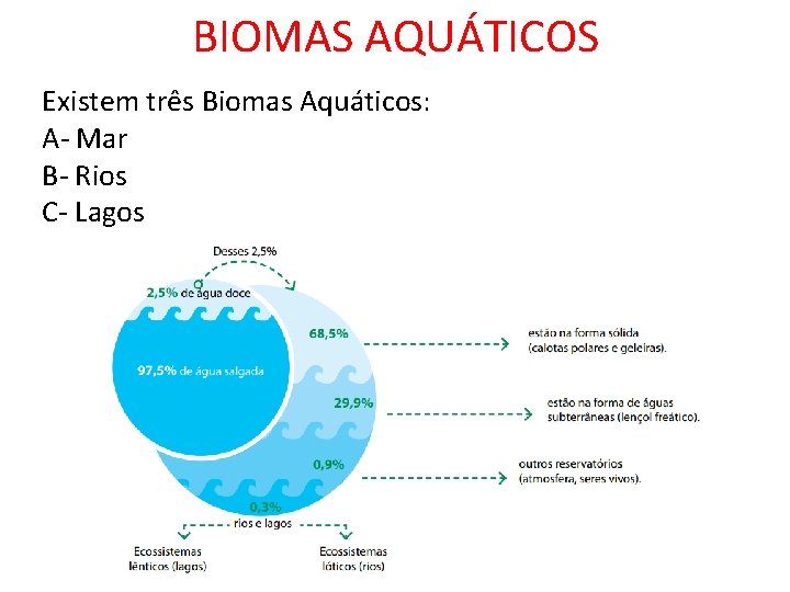 BIOMAS AQUÁTICOS Existem três Biomas Aquáticos: A- Mar B- Rios C- Lagos 