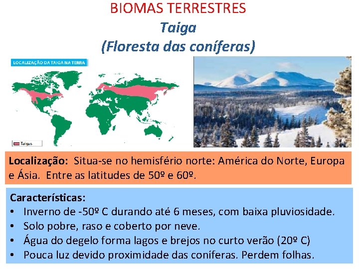 BIOMAS TERRESTRES Taiga (Floresta das coníferas) Localização: Situa-se no hemisfério norte: América do Norte,