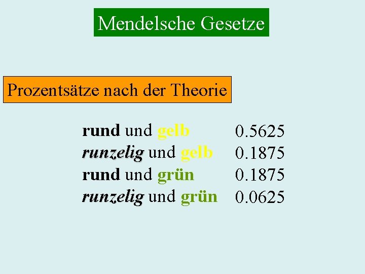 Mendelsche Gesetze Prozentsätze nach der Theorie rund gelb runzelig und gelb rund grün runzelig