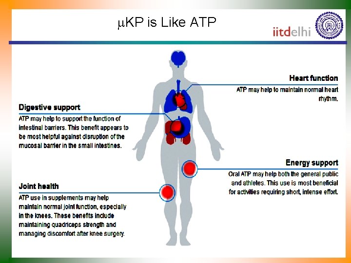  KP is Like ATP 