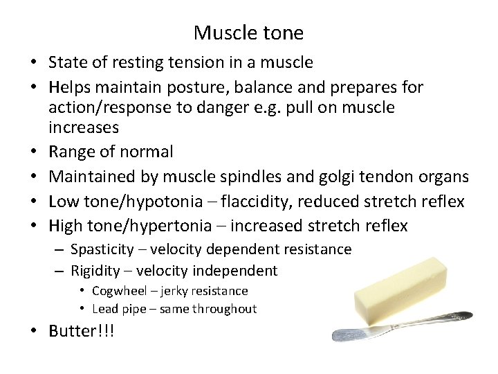 Muscle tone • State of resting tension in a muscle • Helps maintain posture,